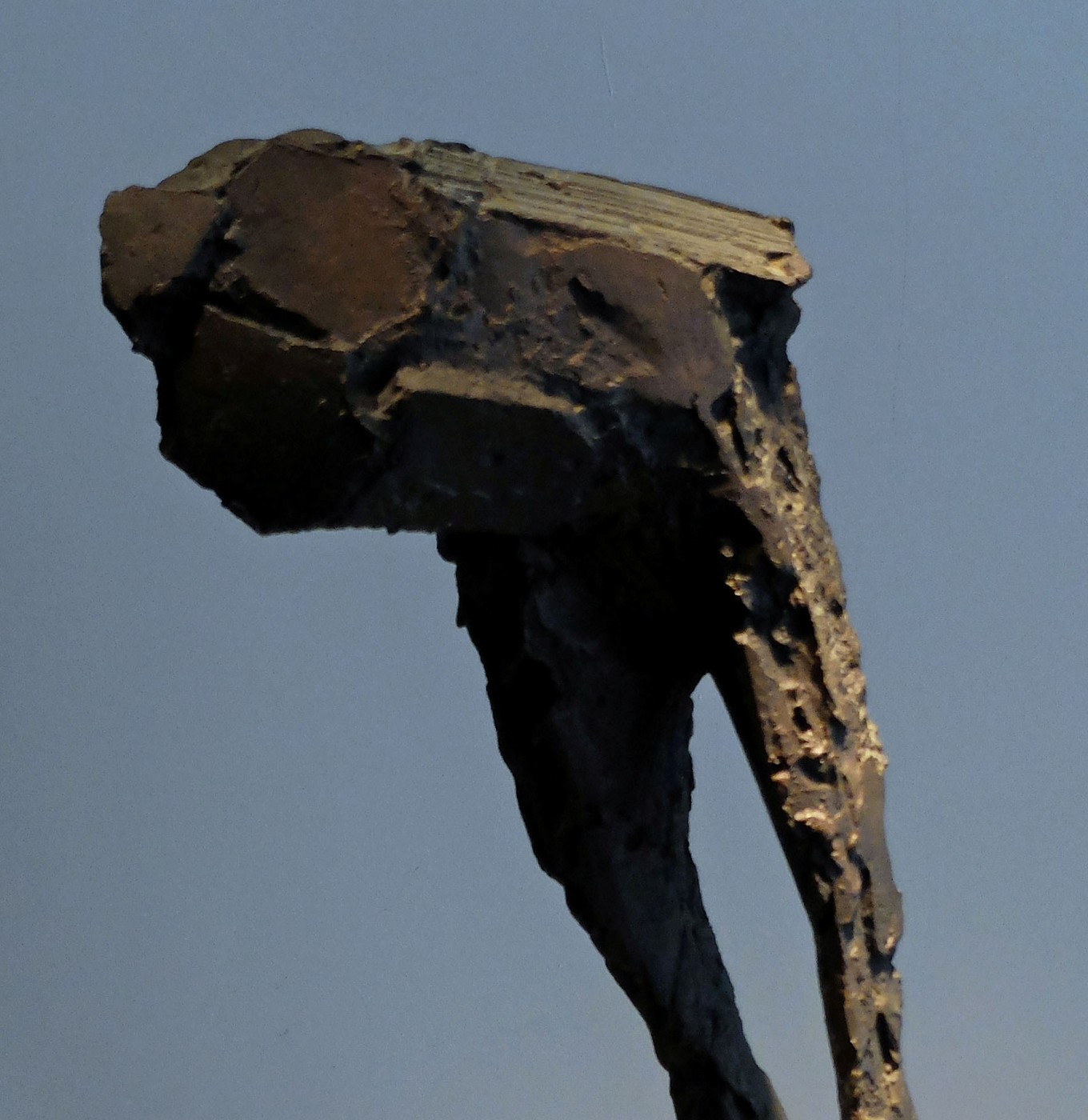 Frink, Elisabeth - 'Bird' CROP, Frink, Elisabeth - 'Bird' CROP