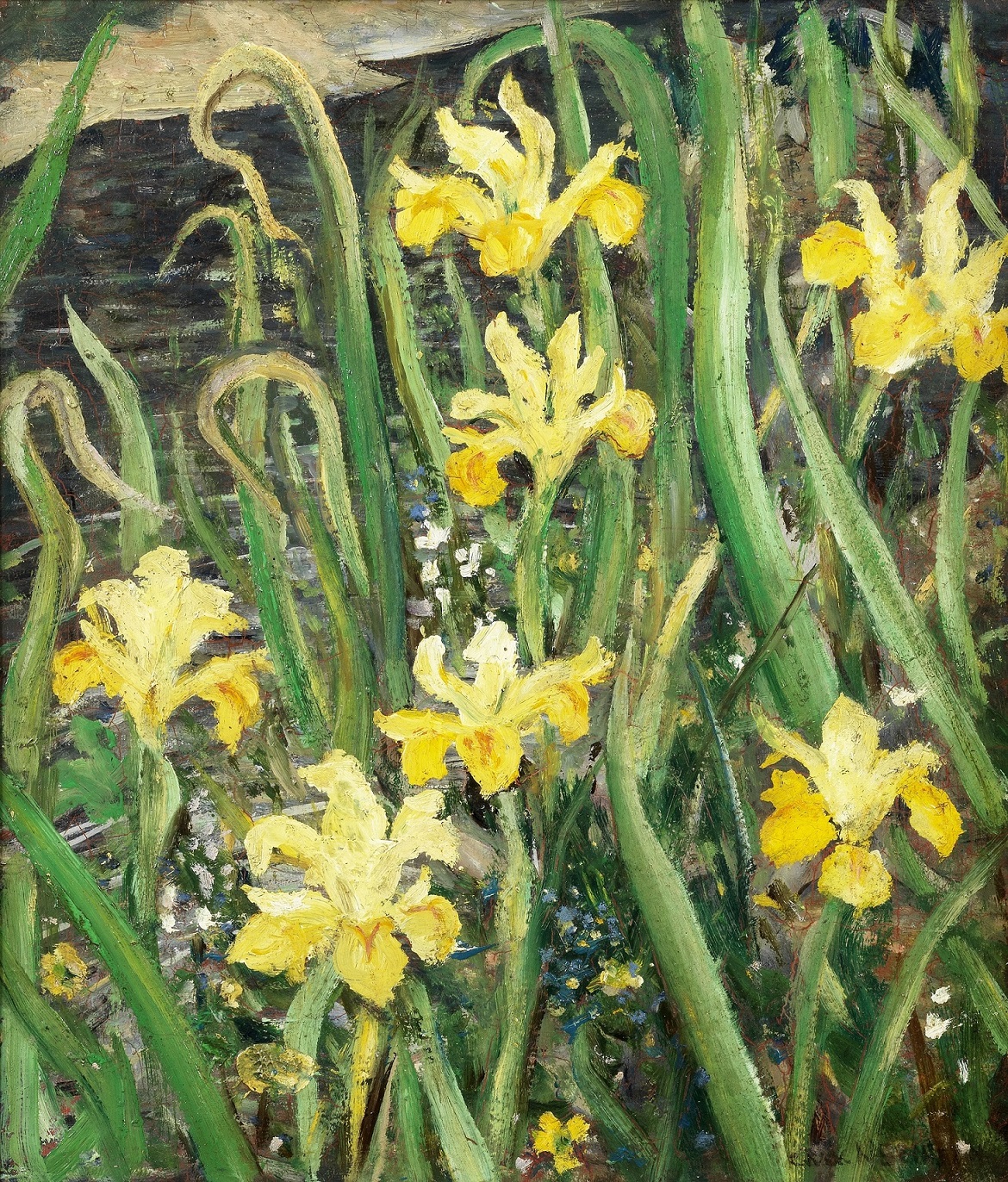 Christopher Richard Wynne Nevinson (1889-1946), Marsh Irises