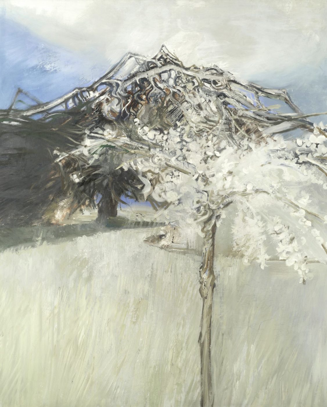 Edward Middleditch RA (1923-1987), Tree in Blossom