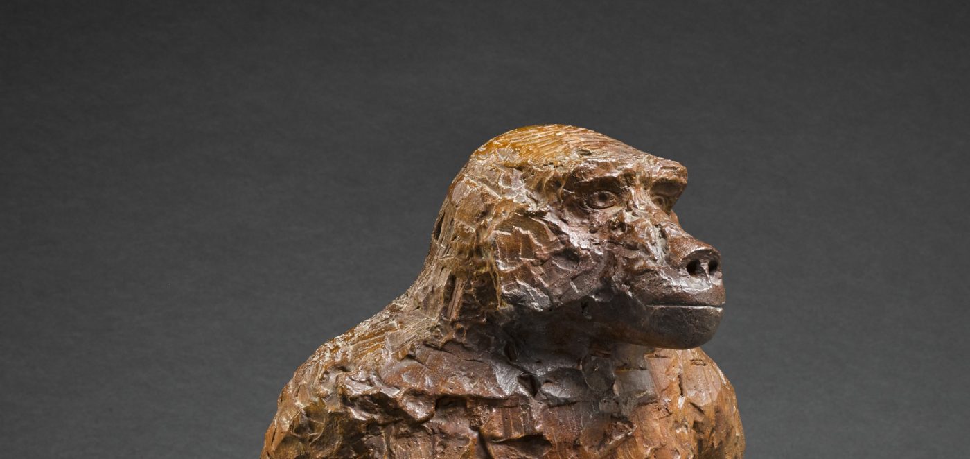 FRINK -Baboon scupture - Head shot, FRINK -Baboon scupture - Head shot